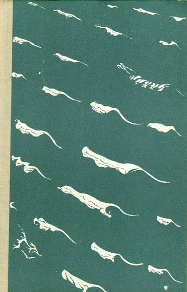 Avali väraval kaanepilt – front cover