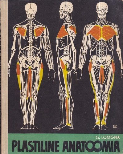Plastiline anatoomia Funktsioon ja vorm kujutavas kunstis kaanepilt – front cover