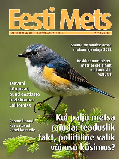 Eesti Mets, talv 2022 kaanepilt – front cover