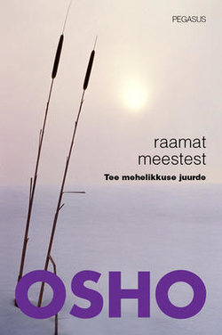 Raamat meestest Tee mehelikkuse juurde kaanepilt – front cover