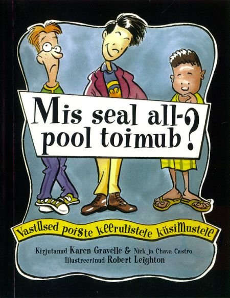 Mis seal allpool toimub? Vastused poiste keerulistele küsimustele kaanepilt – front cover