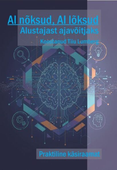 AI nõksud, AI lõksud Alustajast ajavõitjaks: praktiline käsiraamat kaanepilt – front cover