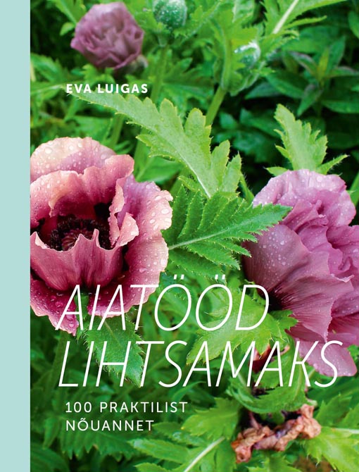 Aiatööd lihtsamaks: 100 praktilist nõuannet Sada praktilist nõuannet kaanepilt – front cover