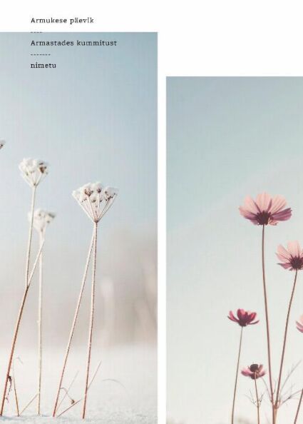 Armukese päevik: armastades kummitust kaanepilt – front cover