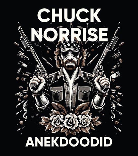 Chuck Norrise anekdoodid kaanepilt – front cover