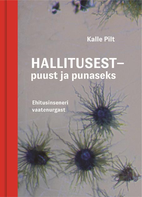 Hallitusest – puust ja punaseks: ehitusinseneri vaatenurgast kaanepilt – front cover