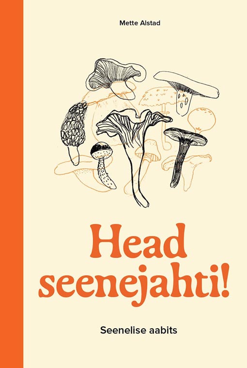 Head seenejahti! kaanepilt – front cover
