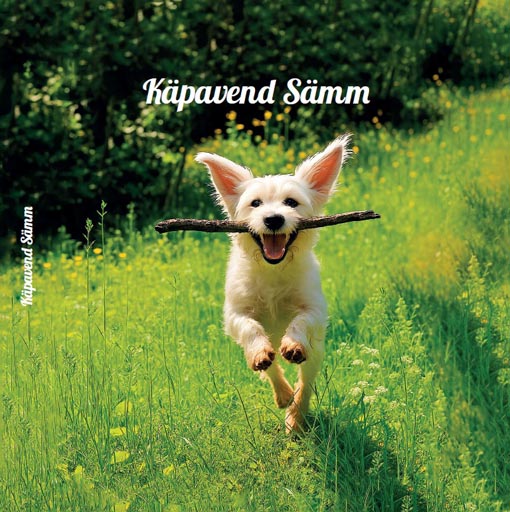Käpavend Sämm kaanepilt – front cover