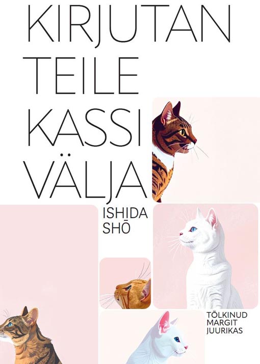 Kirjutan teile kassi välja kaanepilt – front cover
