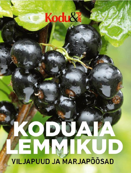Koduaia lemmikud: viljapuud ja marjapõõsad kaanepilt – front cover