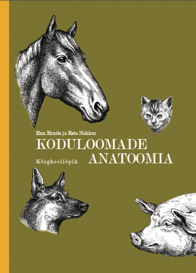 Koduloomade anatoomia: kõrgkooliõpik kaanepilt – front cover