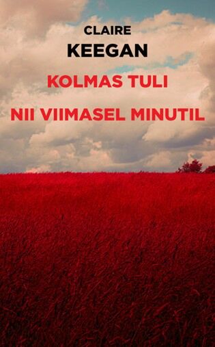 Kolmas tuli • Nii viimasel minutil kaanepilt – front cover