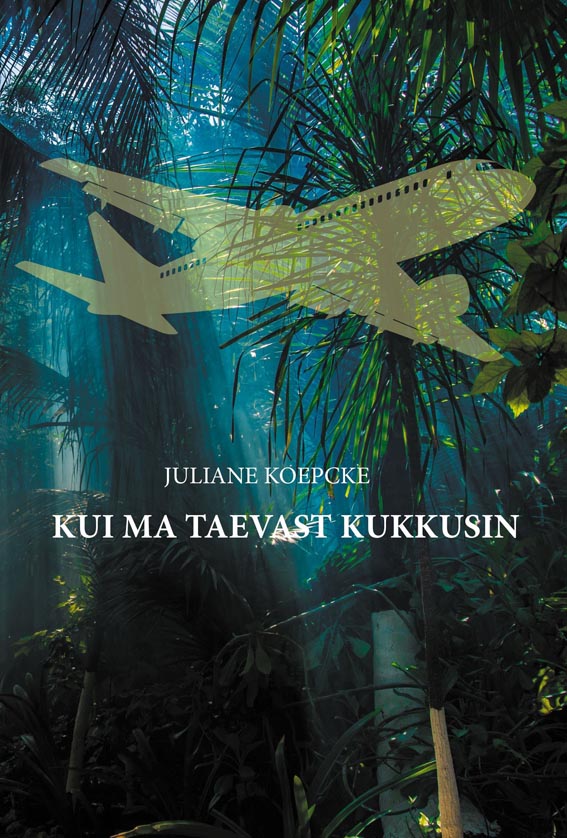 Kui ma taevast kukkusin kaanepilt – front cover