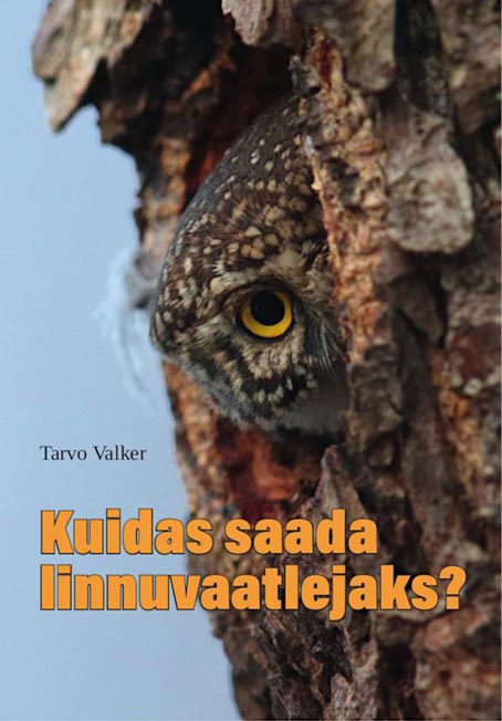 Kuidas saada linnuvaatlejaks? kaanepilt – front cover