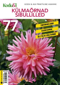 Külmaõrnad sibullilled kaanepilt – front cover
