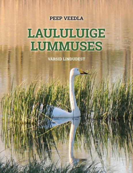 Laululuige lummuses kaanepilt – front cover