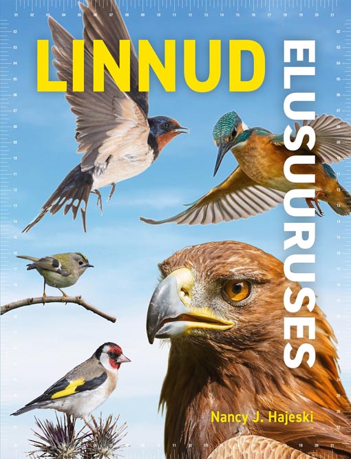 Linnud elusuuruses kaanepilt – front cover