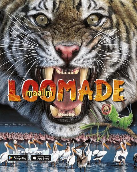 Loomade maailm kaanepilt – front cover