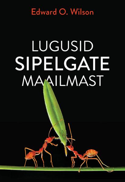 Lugusid sipelgate maailmast kaanepilt – front cover