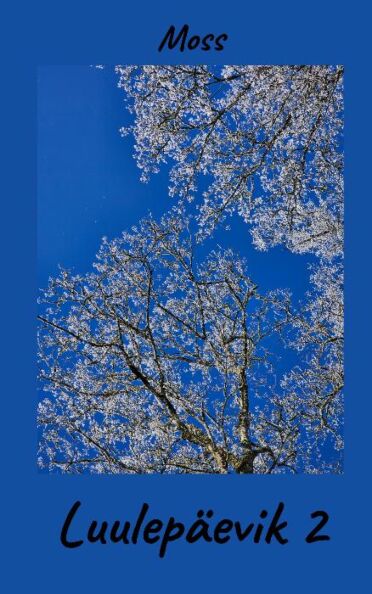 Luulepäevik 2 kaanepilt – front cover