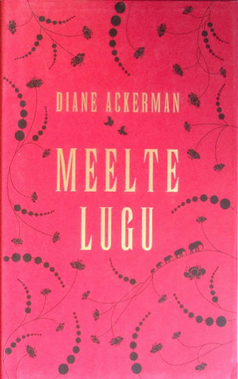 Meelte lugu kaanepilt – front cover