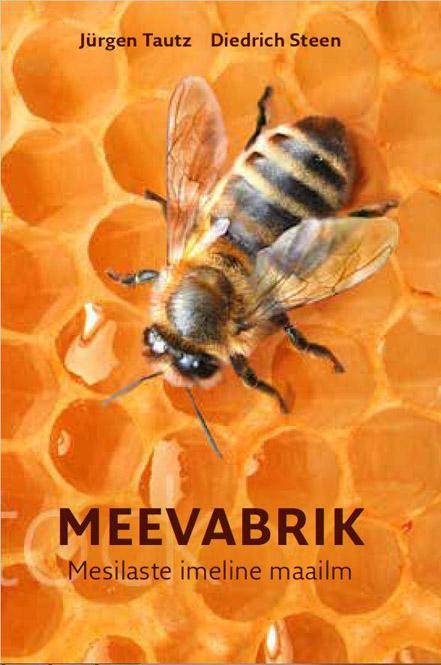 Meevabrik Mesilaste imeline maailm kaanepilt – front cover