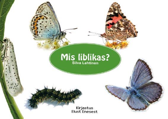 Mis liblikas? kaanepilt – front cover