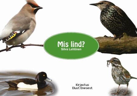 Mis lind? kaanepilt – front cover