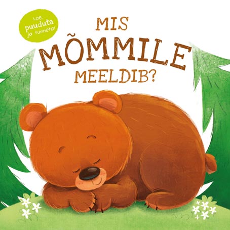 Mis mõmmile meeldib? Loe, puuduta ja tunneta! kaanepilt – front cover