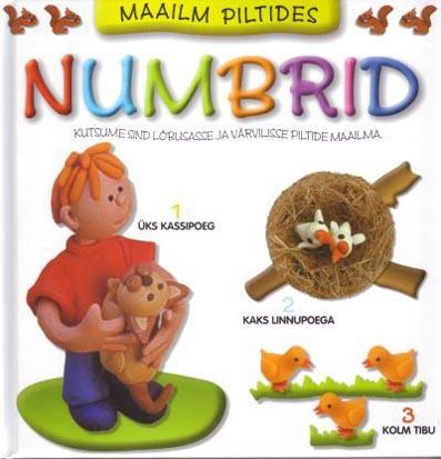 Numbrid kaanepilt – front cover