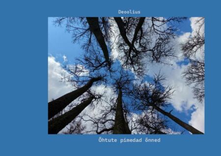 Õhtute pimedad õnned kaanepilt – front cover