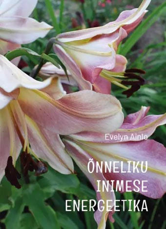 Õnneliku inimese energeetika kaanepilt – front cover