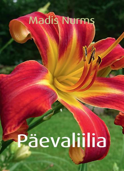 Päevaliilia kaanepilt – front cover