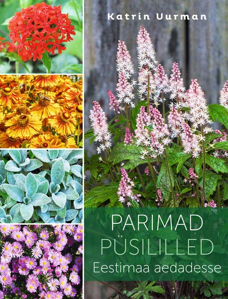 Parimad püsililled Eestimaa aedadesse kaanepilt – front cover