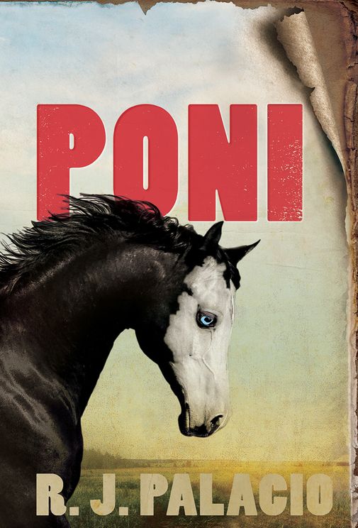 Poni kaanepilt – front cover