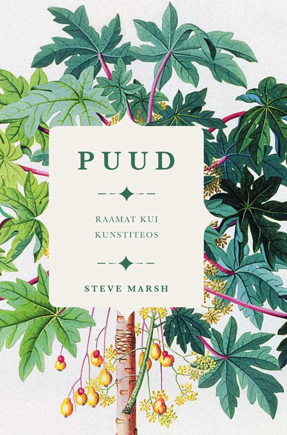 Puud Raamat kui kunstiteos kaanepilt – front cover