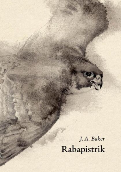 Rabapistrik kaanepilt – front cover