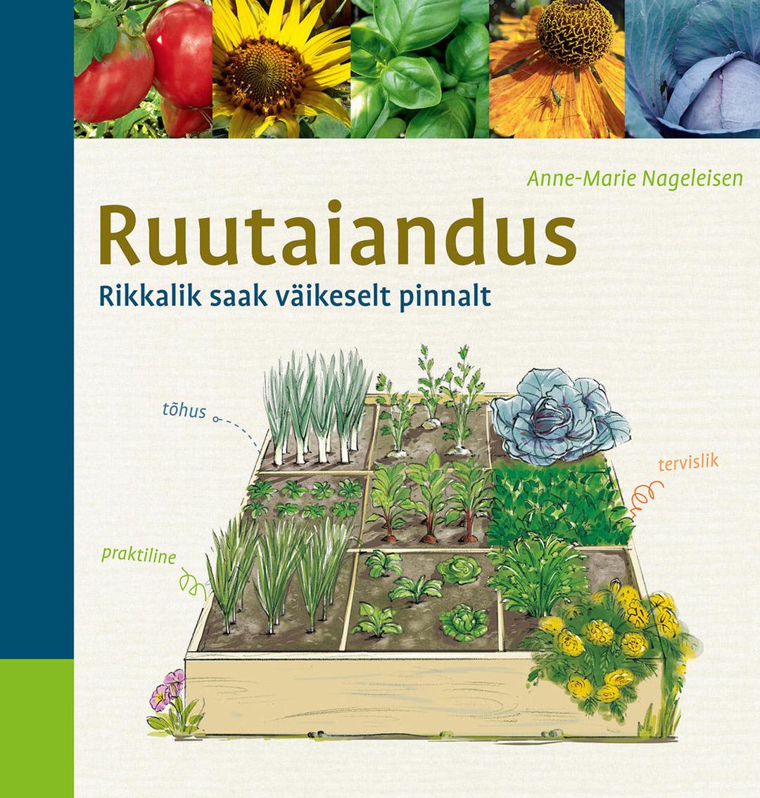 Ruutaiandus Rikkalik saak väikeselt pinnalt kaanepilt – front cover