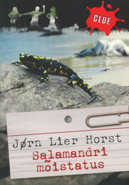 Klõpsa, et näha suuremat pilti Salamandri mõistatus kaanepilt – front cover