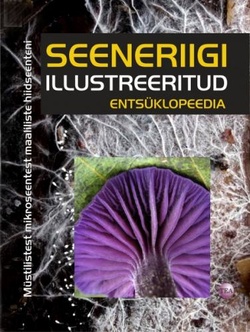 Seeneriigi illustreeritud entsüklopeedia Müstilistest mikroseentest maaliliste hiidseenteni kaanepilt – front cover