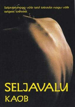 Seljavalu kaob Seljavaluhoog võib teid tabada nagu välk selgest taevast kaanepilt – front cover