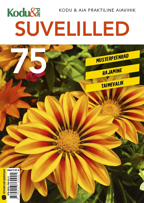 Suvelilled: musterpeenrad, rajamine, taimevalik kaanepilt – front cover
