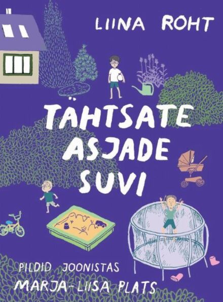 Tähtsate asjade suvi kaanepilt – front cover
