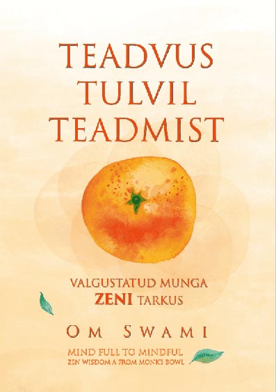 Teadvus tulvil teadmist: valgustatud munga zeni tarkus kaanepilt – front cover