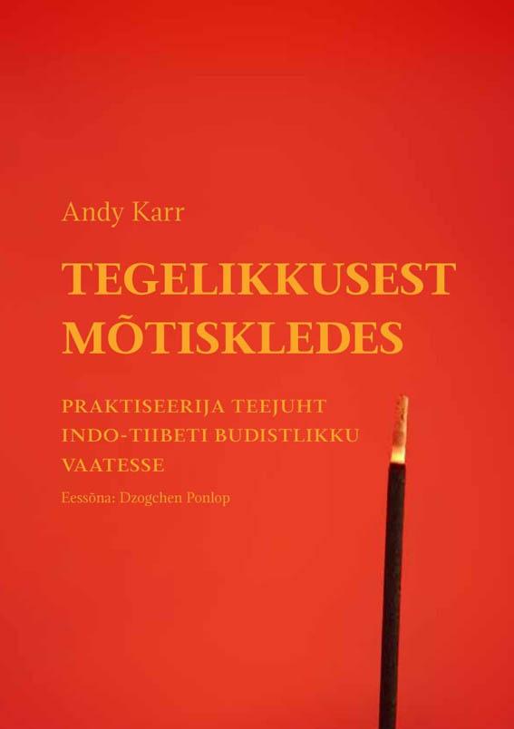 Tegelikkusest mõtiskledes Praktiseerija teejuht Indo-Tiibeti budistlikku vaatesse kaanepilt – front cover