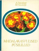 Madalakasvulised püsililled