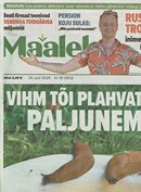  Kuidas Hispaania teetigudest lahti saada: spetsialistide nõuanded