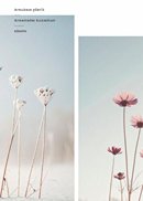 Armukese päevik: armastades kummitust