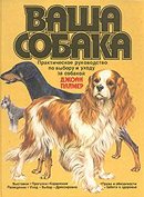 Ваша собака