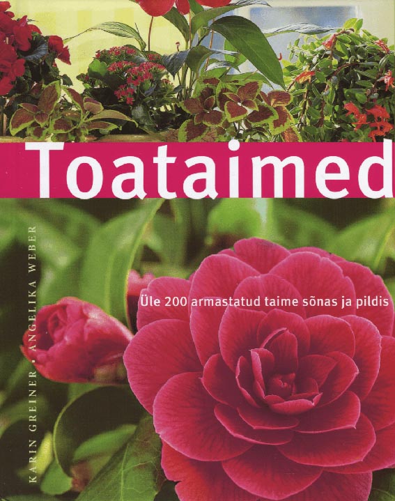 Toataimed Üle 200 armastatud taime sõnas ja pildis kaanepilt – front cover